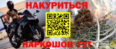 МДПВ Камышлов