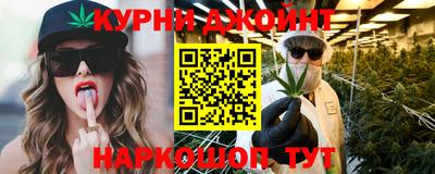 МДПВ Камышлов
