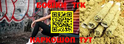 МДПВ Камышлов