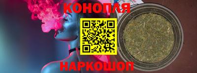 МДПВ Камышлов