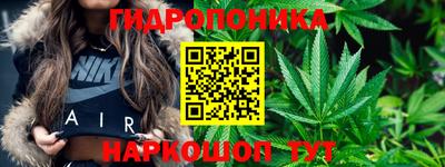 МДПВ Камышлов