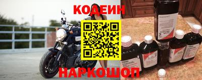 МДПВ Камышлов